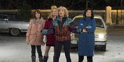 Poster der Serie The Goldberg Girls