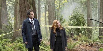 Poster der Serie Kitten