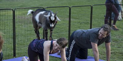 Poster der Serie Just Say Yes