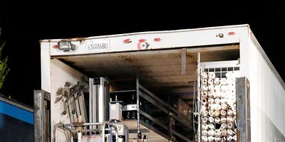 Poster der Serie Codependence