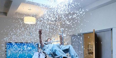 Poster der Serie Rude Awakenings and The Raptor