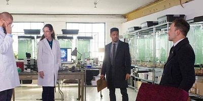 Poster der Serie The Worms Crawl In, The Worms Crawl Out