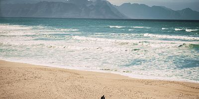 Poster der Serie The Ghost Monument