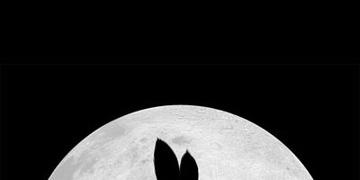 Poster der Serie The Journey