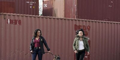 Poster der Serie K9 + Smugglers + New Recruit