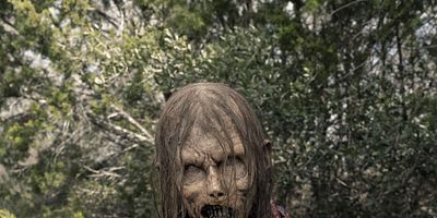 Poster der Serie Auf leisen Pfoten