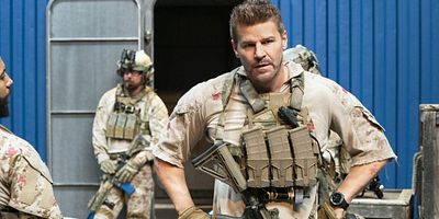 Poster der Serie Die Stärke des Wolfes