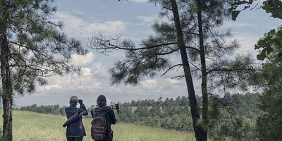 Poster der Serie Bonds