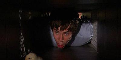 Poster der Serie iHatch Chicks