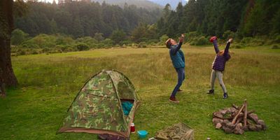 Poster der Serie TUSSILAGO (symb. worries)