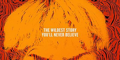 Poster der Serie Kein Normalo