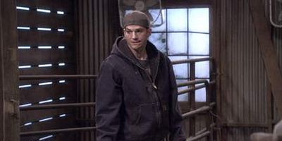 Poster der Serie Dumb Effin' Luck