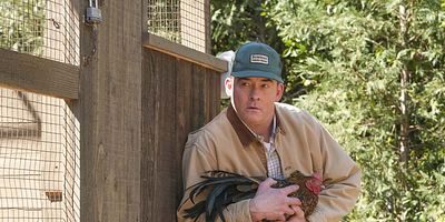 Poster der Serie Tornado Saison (1)