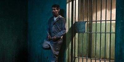 Poster der Serie Psy-Op + Cell + Merchant + Birds