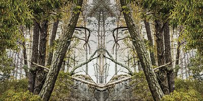 Poster der Serie Anfänge und Enden