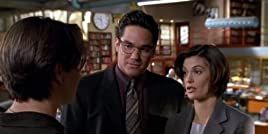 Poster der Serie Die Füchsin