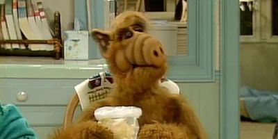 Poster der Serie Parasit mit Puderquaste