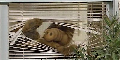 Poster der Serie Hallo, da bin ich