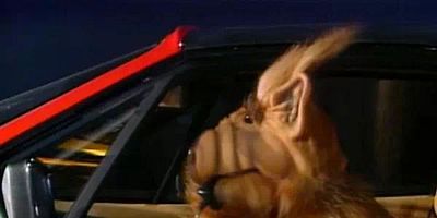 Poster der Serie Gestatten, mein Name ist Schlegel - Teil 1