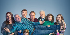 Poster der Serie The Silver Fox