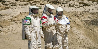 Poster der Serie Überall Kühe