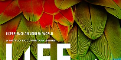 Poster der Serie Seeing In Color