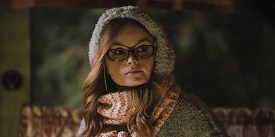 Poster der Serie Regal Jumping Spider