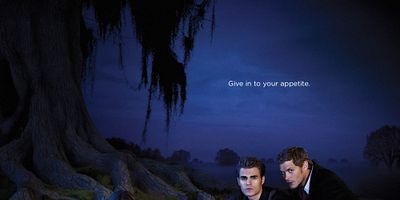 Poster der Serie Homecoming