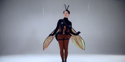 Poster der Serie La guêpe