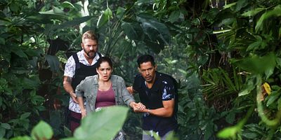 Poster der Serie Run, Baby, Run