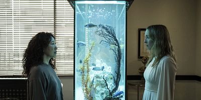 Poster der Serie Just Dunk Me