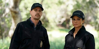 Poster der Serie Birds of a Feather