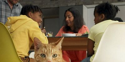 Poster der Serie Intelligence