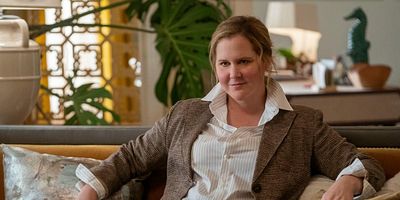 Poster der Serie Framed