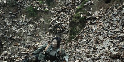 Poster der Serie Amy/Dr. Everett