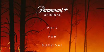 Poster der Serie Two Bitten, Two Born