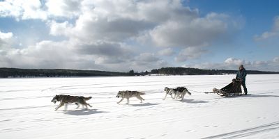 Poster der Serie Finnland