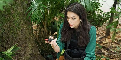 Poster der Serie Working Vacation