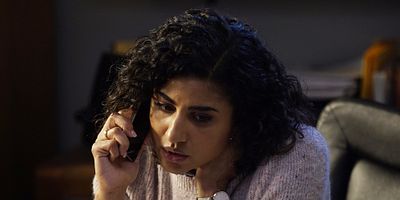 Poster der Serie Birds and Foxes