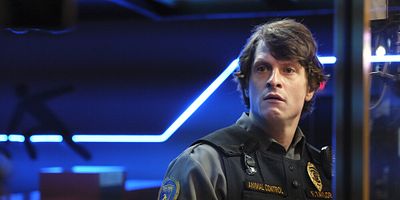 Poster der Serie Raccoons and Mutts