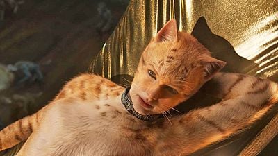 bild aus der news "Ich dachte nur: 'Oh Gott'": Der Schöpfer von "Cats" hasste die Verfilmung so sehr, dass er sich einen Hund kaufte