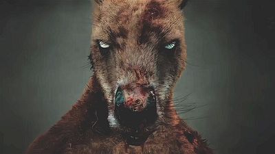 bild aus der news Heute neu im Heimkino: Wir sagen nur Killer-Känguru!