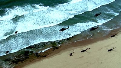 bild aus der news "Die meisten modernen Filme sind Müll": Legendärer Hollywood-Regisseur will nur noch seine eigenen Filme schauen