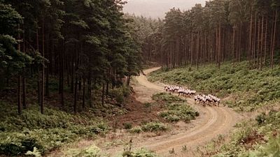 bild aus der news Genug gewartet: Auch nach 20 Jahren die wohl beste Mini-Serie der Geschichte – jetzt im Streaming-Abo schauen!