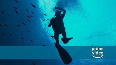 bild aus der news Neu auf Amazon Prime Video: In 28 Metern Tiefe gefangen – dieser Survival-Thriller wird euch die Lust am Tauchen rauben!