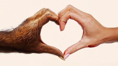 bild aus der news "Scream"-Star im Slacker-Update zu "Die Schöne und das Biest": Trailer zur Horror-RomCom "Your Monster"