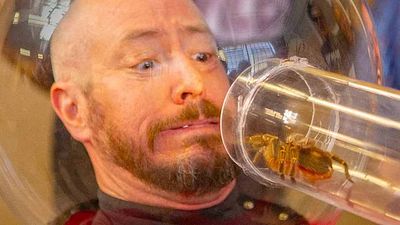 bild aus der news Fans dürfen sich freuen: Eine der legendärsten Kult-Reihen geht doch noch weiter – und zwar schon in diesem Jahr!