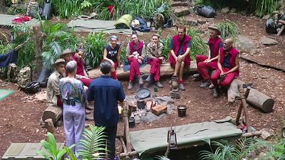 bild aus der news Dschungelcamp-Zuschauer haben entschieden: Dieser Promi muss die Show an Tag 13 verlassen