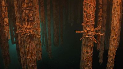 bild aus der news FSK-18-Highlight kurz nach Kinostart ab heute streamen: Schon jetzt einer der besten Horrorfilme des Jahres!