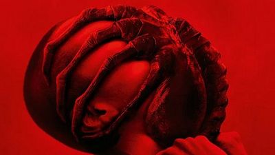 bild aus der news "Alien: Romulus"-Regisseur verspricht völlig neue Entdeckungen für Teil 2: "Es wird so aufregend sein"